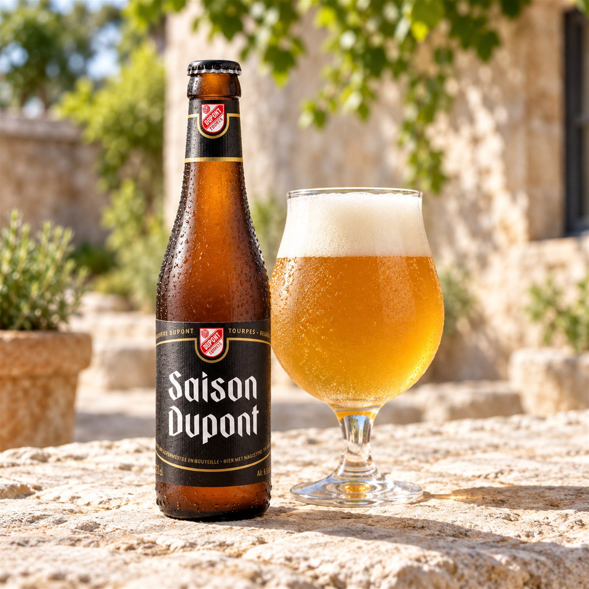 Saison Dupont: bebida servida en vaso junto a su envase