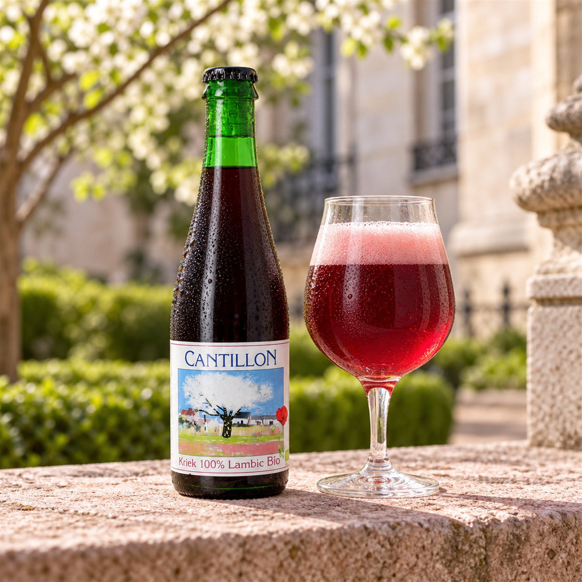 Cantillon Kriek BIO: bebida servida en vaso junto a su envase