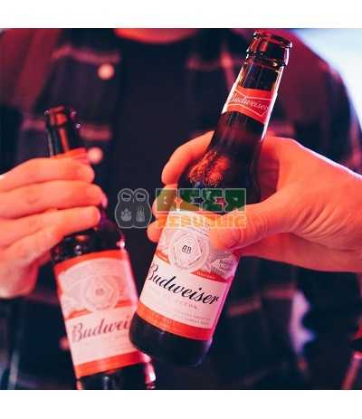 Budweiser 33cl