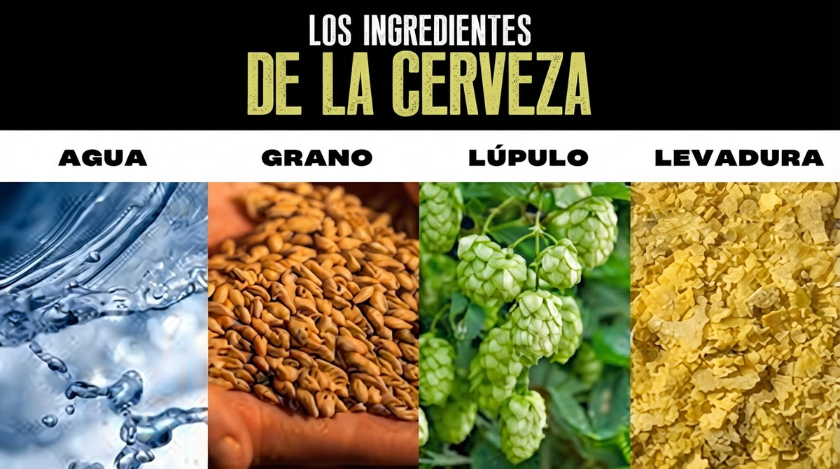 Los ingredientes de la cerveza: agua, grano, lúpulo y levadura