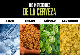 Los ingredientes de la cerveza: agua, grano, lúpulo y levadura