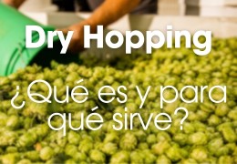 Dry Hopping, ¿Qué es y para qué sirve?